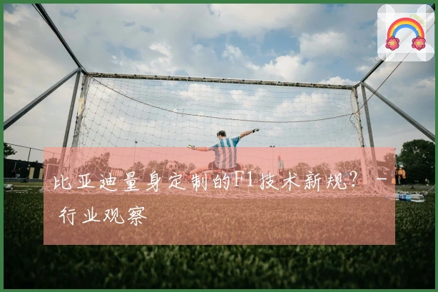 比亚迪量身定制的F1技术新规？ - 行业观察
