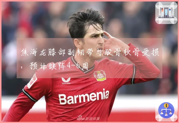 焦海龙膝部副韧带与股骨软骨受损，预计缺阵4-6周