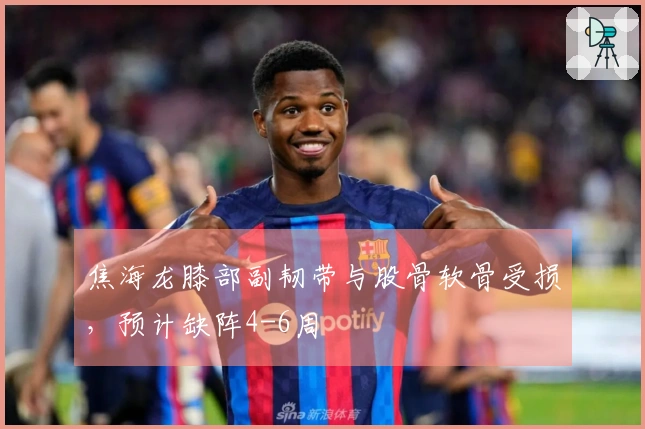 焦海龙膝部副韧带与股骨软骨受损，预计缺阵4-6周